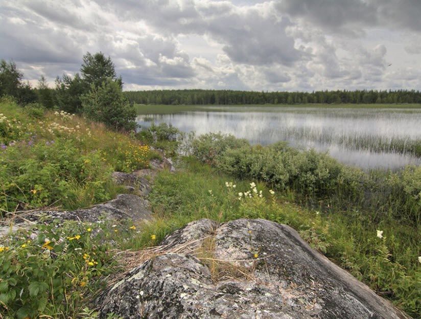 Болото Шомба