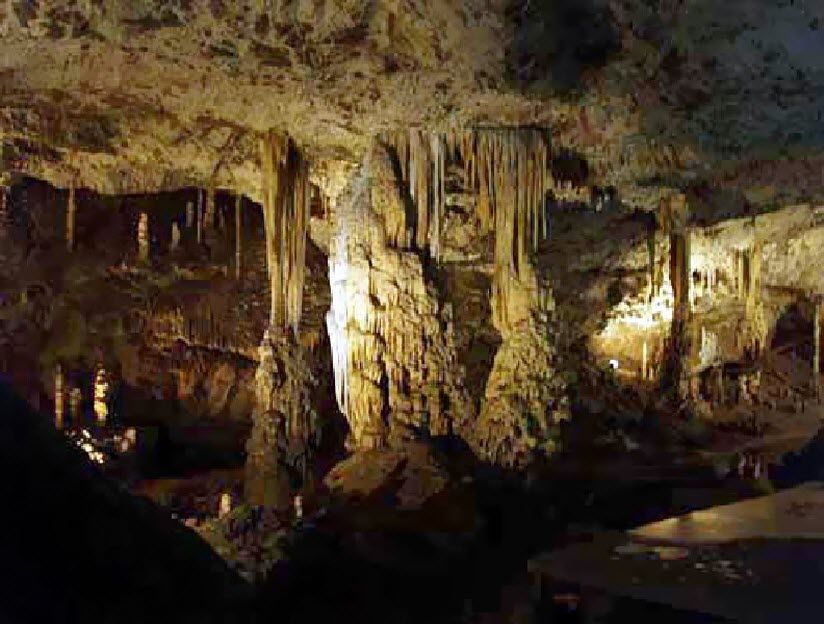 Белая звёздочка