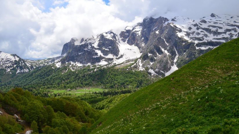 Яворова поляна