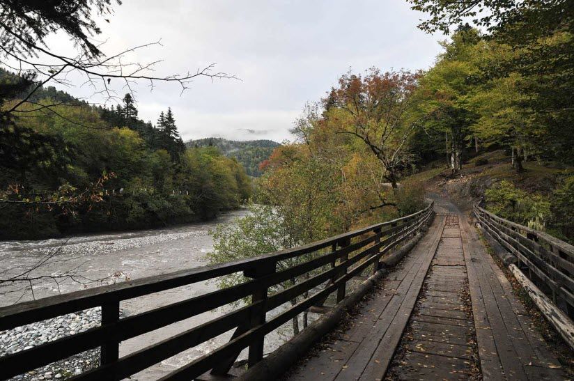 Река Молчепа