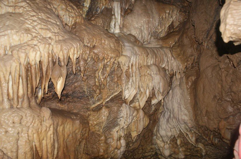 Пещера Парящая птица