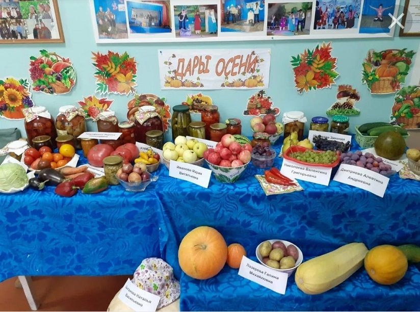 Дом Культуры села Золотец