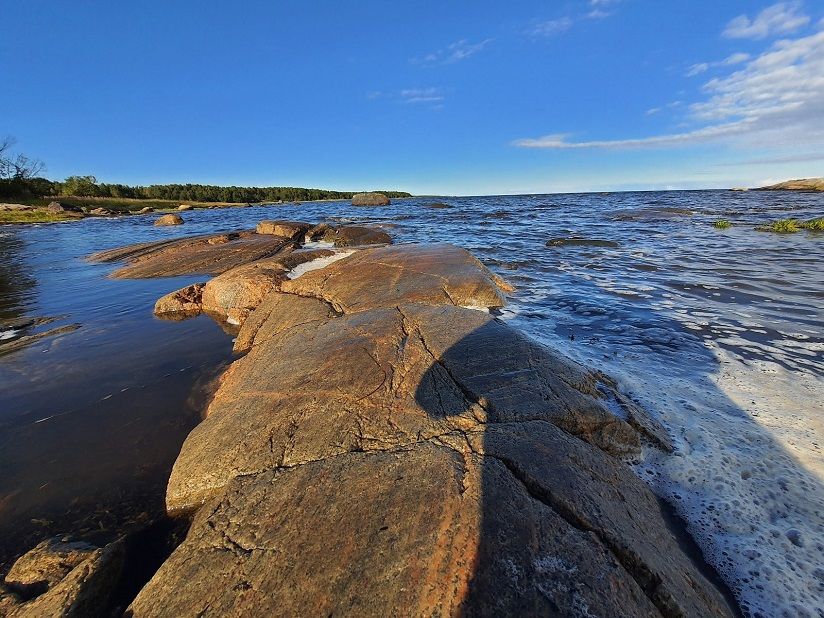 Рыбный порт