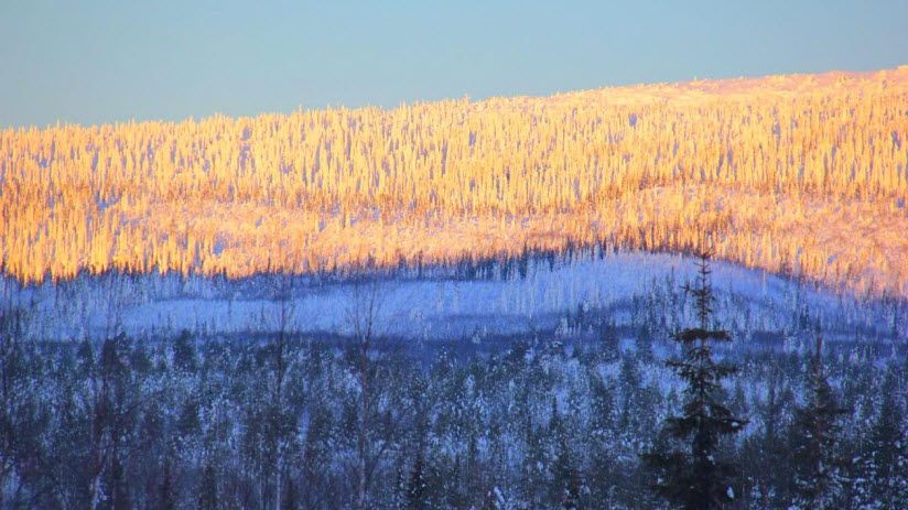 Природный комплексный заказник «Кайта»