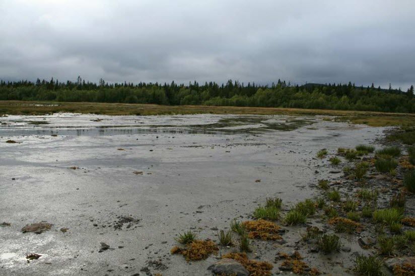 Лечебные грязи Палкиной Губы