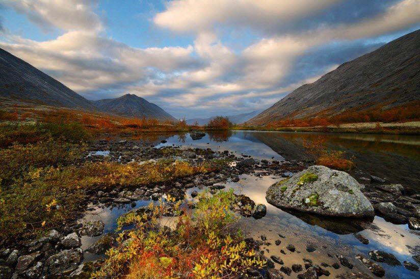 Гранитоиды Острова Микков