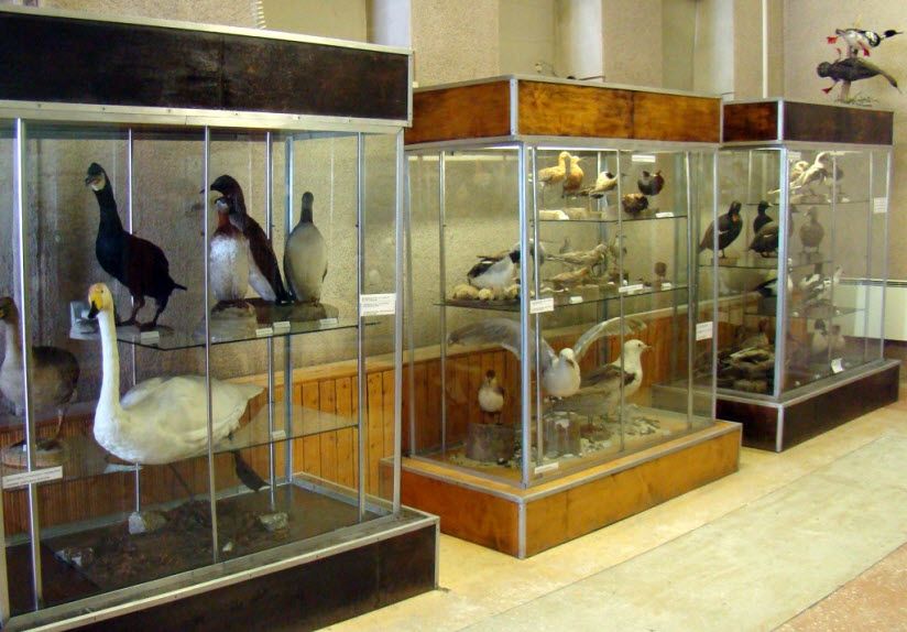 Музей Кандалакшского заповедника