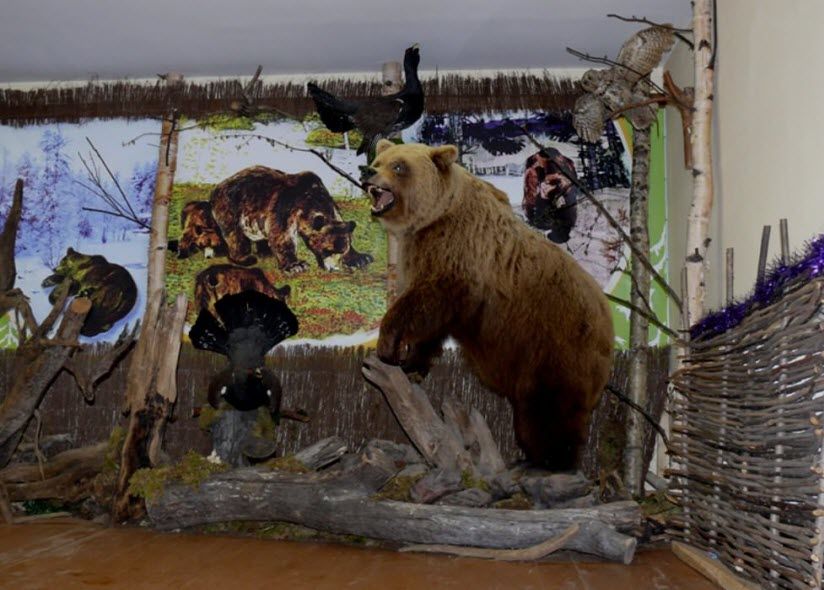 Музей «Топтыгин дом»