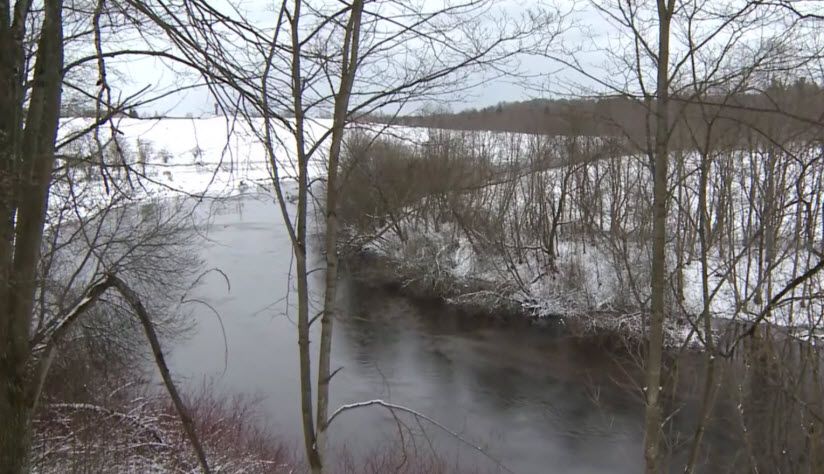 Государственный заказник «Гагаринский»