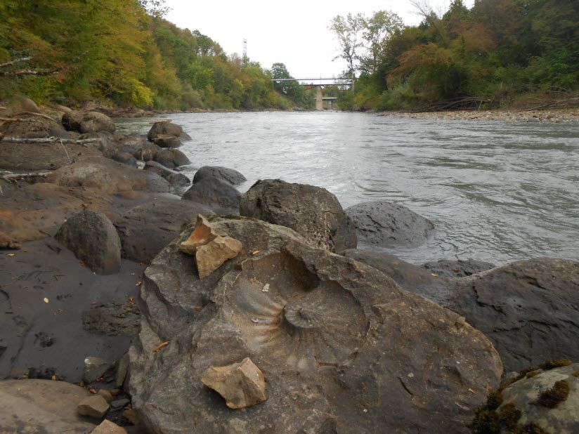 Долина аммонитов