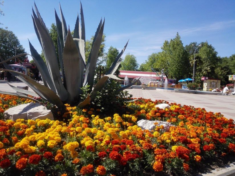 Парк культуры и отдыха