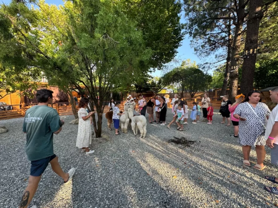 Альпака Парк