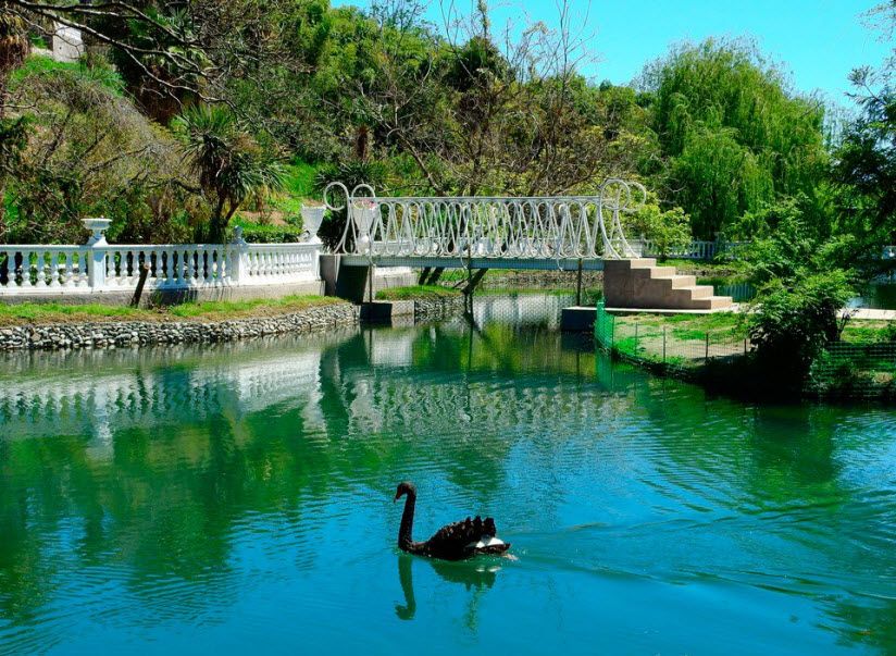 Дендропарк «Южные культуры»