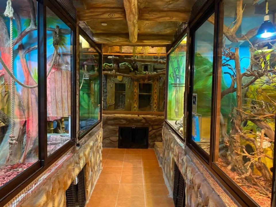 Террариум «Мир джунглей»