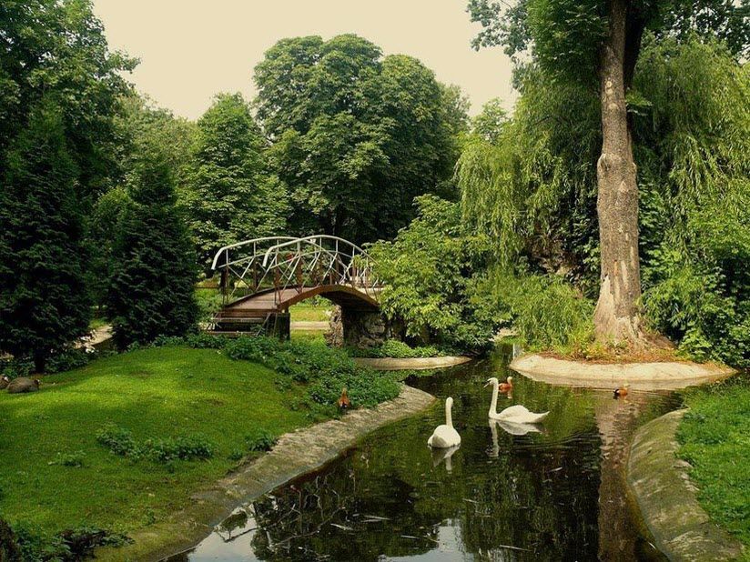 Калининградский зоопарк