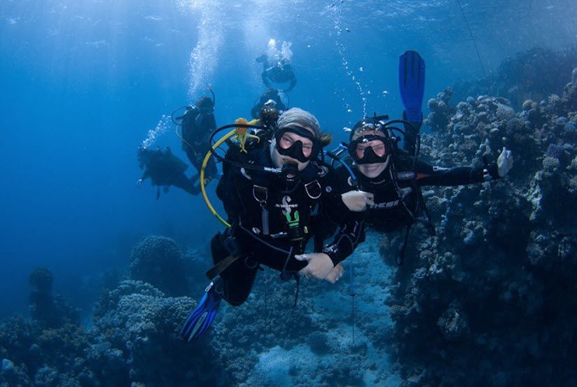 Дайвинг-центр «Афалина»