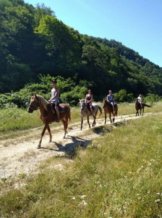 Конные прогулки