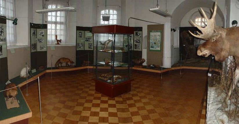 Музей природы Селигерского края