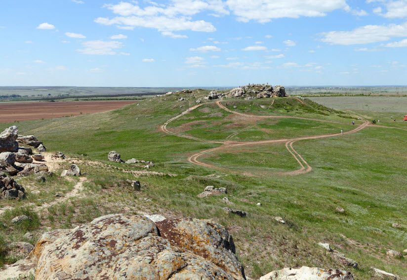 Камышинские уши