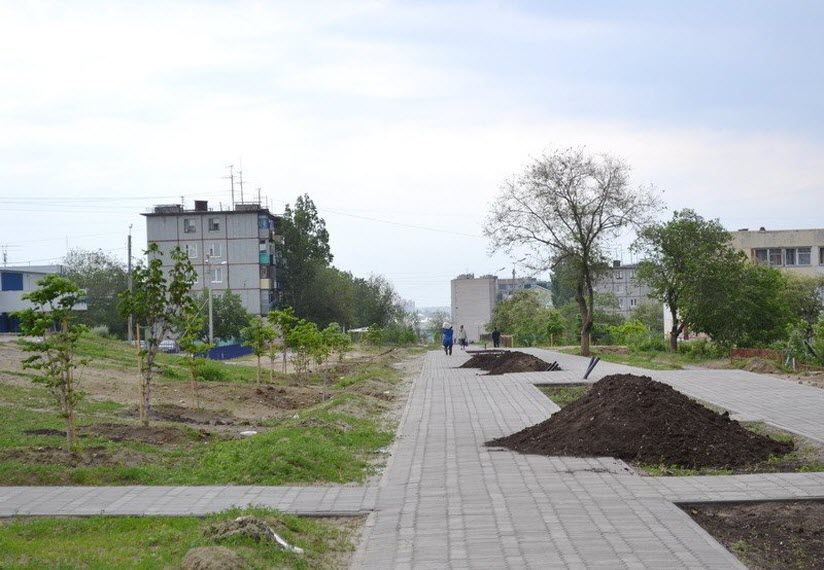 Каштановая аллея имени Евгения Мартынова