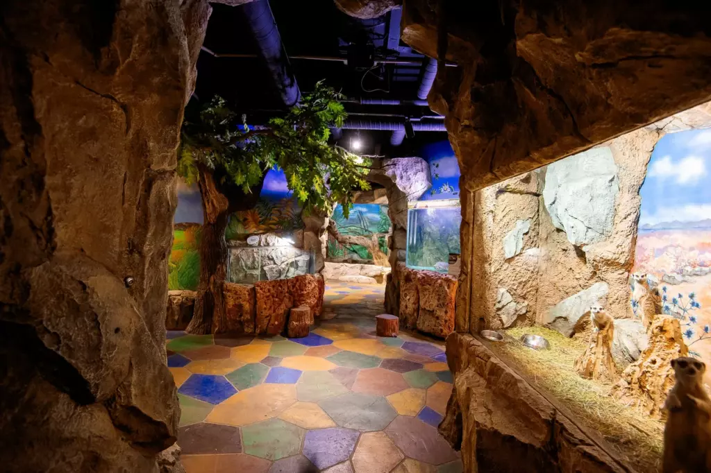 Парк развлечений «ФанфиПарк»