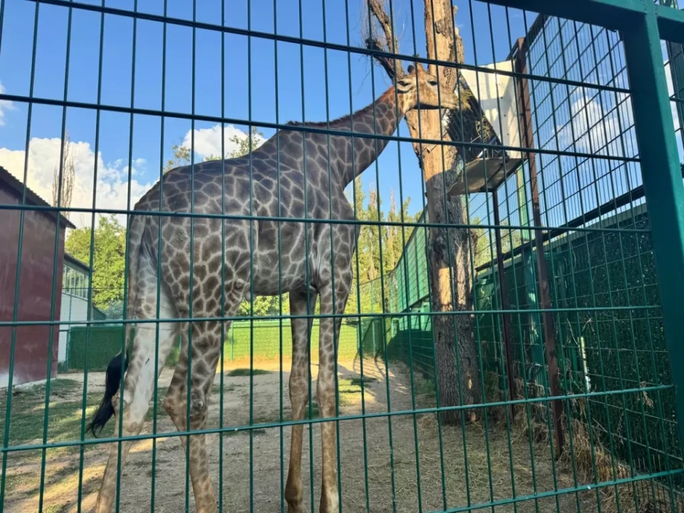 Сафари-Парк