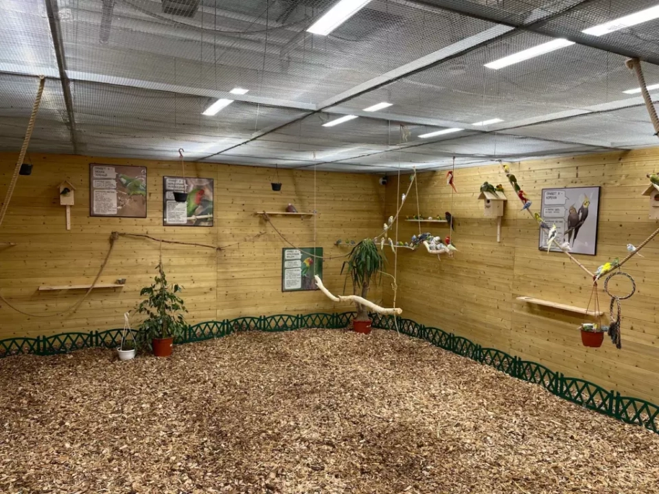 Дом попугаев