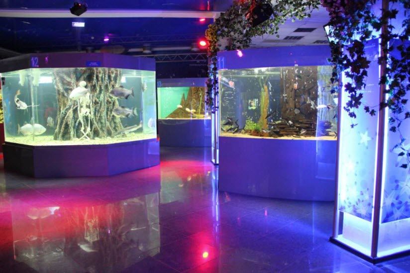 океанариум «Немо»