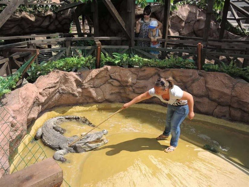 Крокодиловая ферма