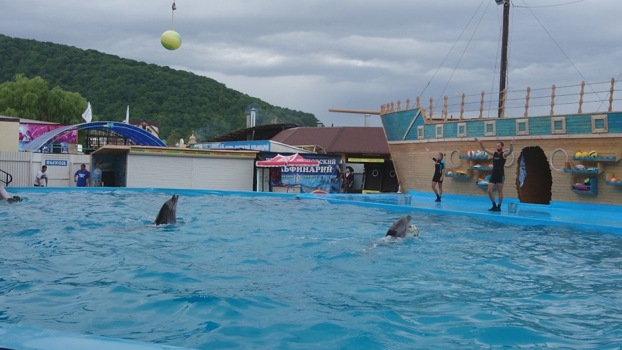 Дельфинарий