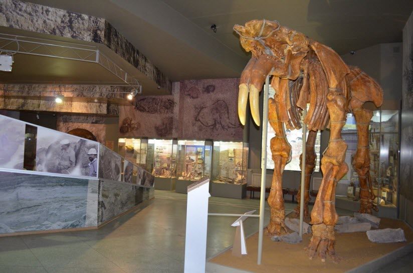 Палеонтологический и историко-археологический музей