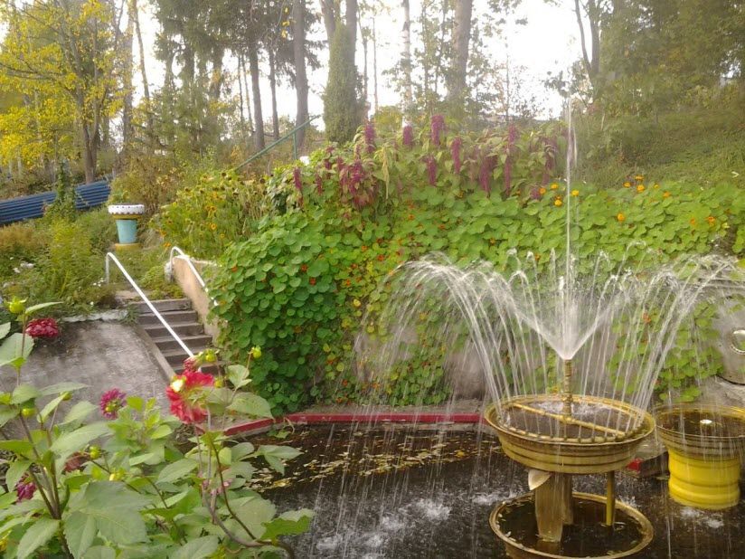 Дендропарк