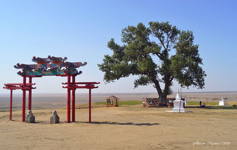 Одинокий тополь и подземные ключи