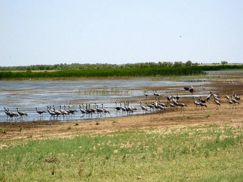 Сарпинский природный заказник