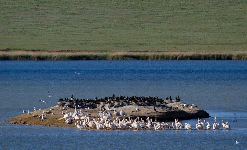 Озеро Маныч-Гудило