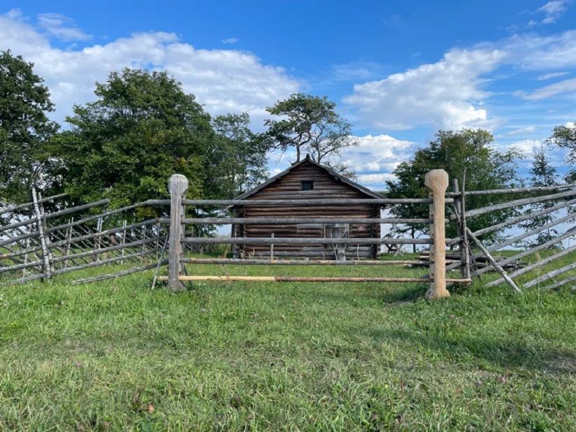 Рига Стафеева