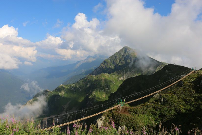 Гора «Роза Пик»