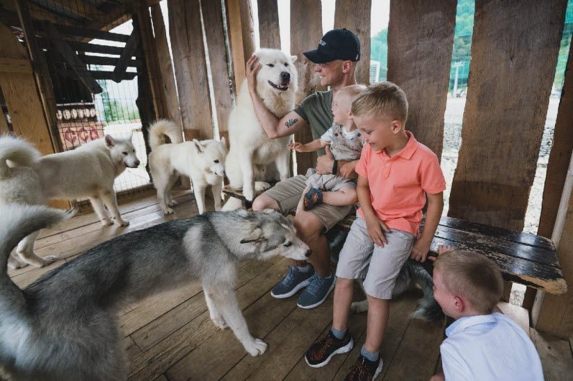 «Хаски Хутор»