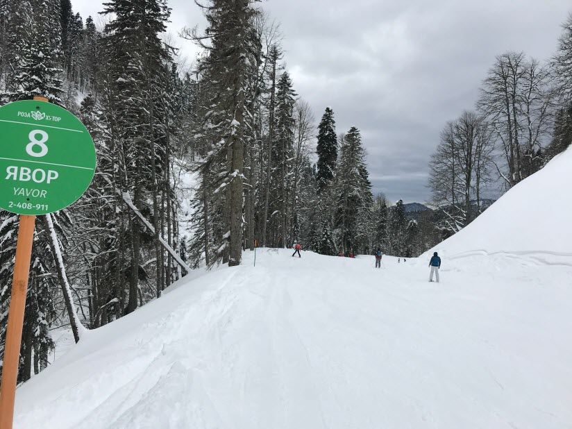 трасса Явор