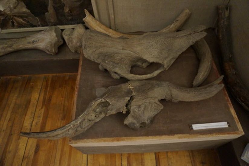 Зал Археологии и древности