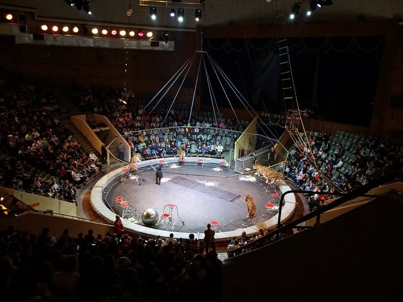 Волгоградский государственный цирк