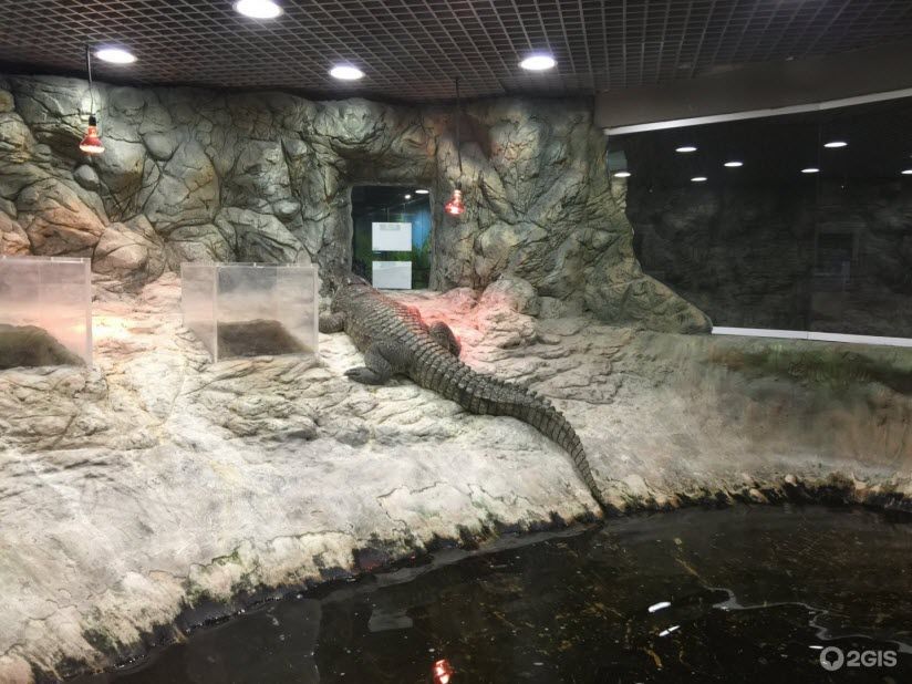 Волгоградский океанариум