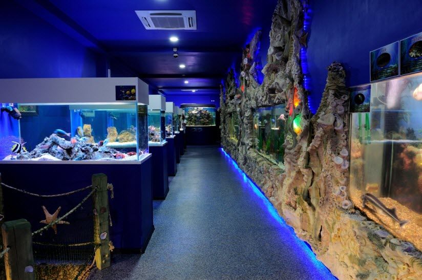 Океанариум