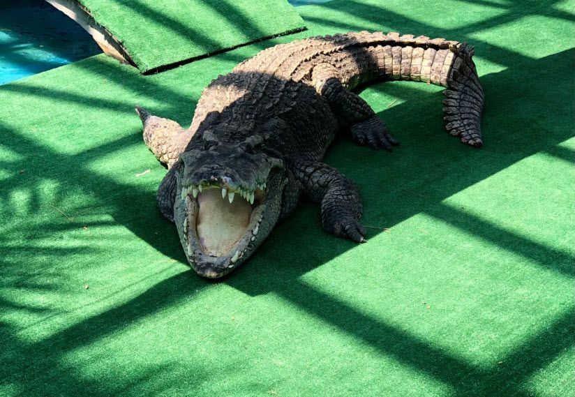 Крокодиловый каньон