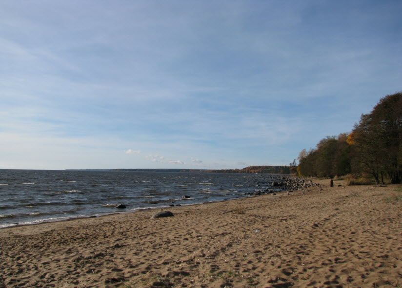 Памятник природы Комаровский берег