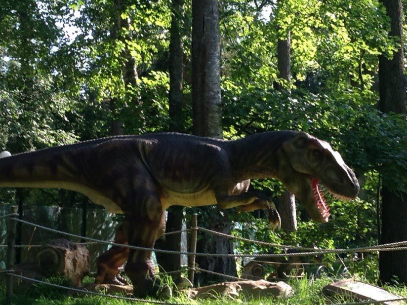 Парк динозавров