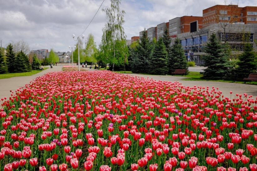 Бульвар Победы