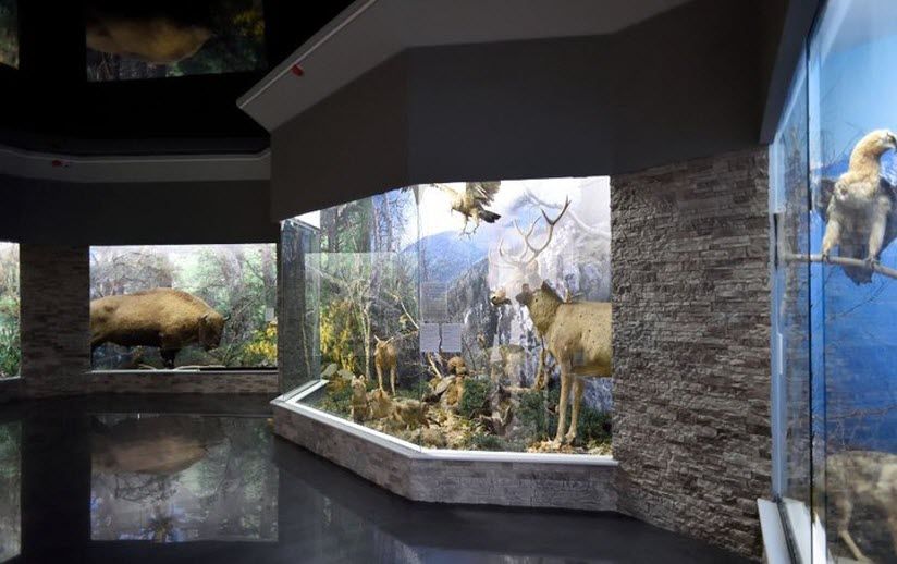 Народный музей «Геометрия живого»