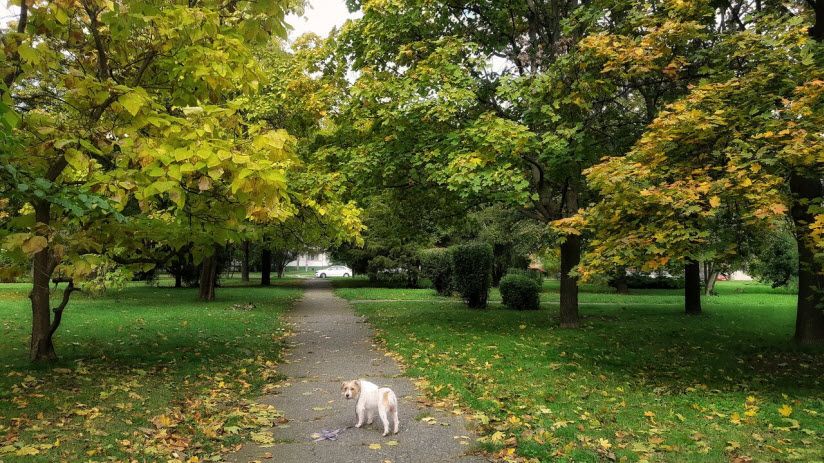 Парк Черемушки