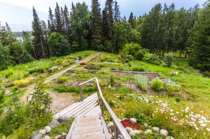 Соловецкий ботанический сад